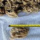Romney hoget. Felting materials. nzwool. Ярмарка Мастеров.  Фото №4