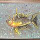 A pastel painting with a goldfish on sandpaper, a gift to a fisherman. Pictures. paintmart (oikos). My Livemaster. Фото №6