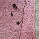 Hand-cast paper 'Strawberry'. Drawing paper. 'SoloMA'/Природная бумага. My Livemaster. Фото №4