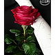Order Rose with thorns made of cold porcelain. Marina Zhadan. Livemaster. . Bouquets Фото №3