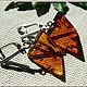 Order Amber. Earrings 'Vector' amber silver. Frollena II. Natural Baltic amber. Livemaster. . Earrings Фото №3