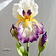 Iris de arcilla polimérica. Flowers. Marina Zhadan. Интернет-магазин Ярмарка Мастеров.  Фото №2