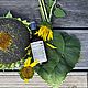 Sunflower 2023 oily and combination, Dry, sensitive skin. Tonics. MYLNITSA. My Livemaster. Фото №5