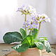 Primrose in a pot of polymer clay. Composition. Marina Zhadan. Online shopping on My Livemaster.  Фото №2