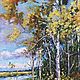 Oil painting birch grove, Pictures, Zelenograd,  Фото №1