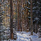 Painting - In the winter forest, Pictures, Moscow,  Фото №1