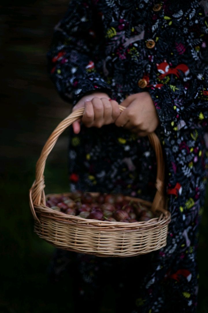 Корзинка из лозы ивы в интернет-магазине Ярмарка Мастеров по цене 800 ...