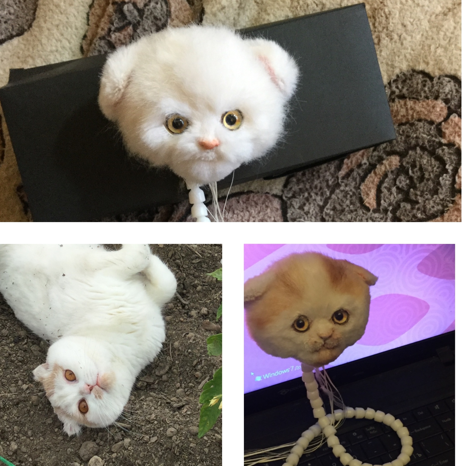 Котёнок. Процесс