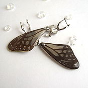 Украшения handmade. Livemaster - original item Earrings Are Real Butterfly Wings Rhodium Flower Grey. Handmade.