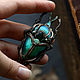 Brooch-pin: ' Goliath ' beetle, insect, modern. Brooches. House Of The Moon Dew. Online shopping on My Livemaster.  Фото №2