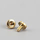 Винт 10*6 ременной (2907) латунь,solid brass. Фурнитура для сумок. Фурнитура для сумок | furnitura01. Интернет-магазин Ярмарка Мастеров.  Фото №2