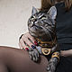Order  Collar necklace and bracelets. Natalia Luzik Jewelry&Accessories (nataluzik). Livemaster. . Accessories for Pets Фото №3