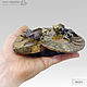 Money magnet is a pair of Gold fish on the Ammonite. Amulet. Miner premium - Ltd Moscow (mineralpremium). My Livemaster. Фото №4