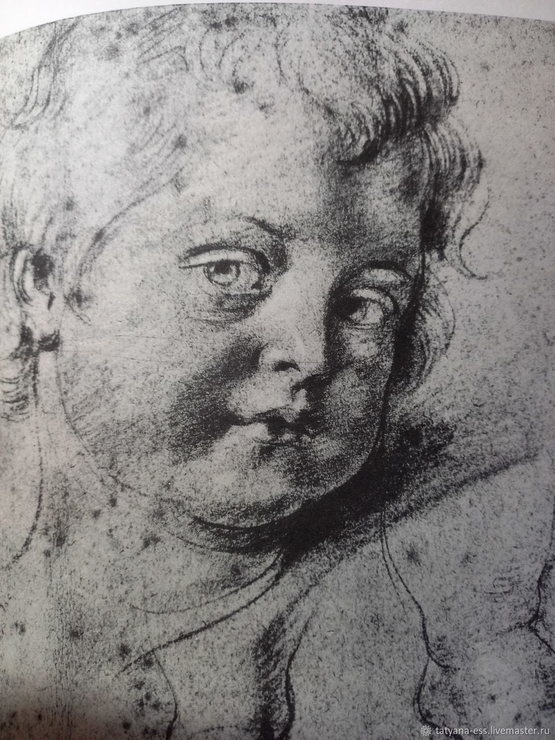 Рубенс портрет сына