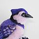 Purple bird Jay. Felted brooch. Brooches. Natalya Gorshkova Cute toys felting. Online shopping on My Livemaster.  Фото №2