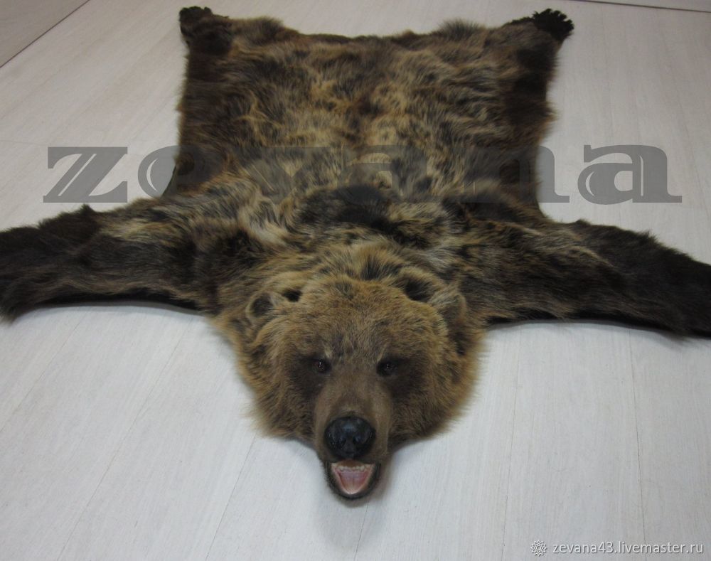 Ковёр из шкуры медведя 225 см
