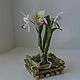 Орхидея каттлея, масштаб 1:12, Мини растения и цветы, Тихвин,  Фото №1