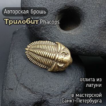 Украшения ручной работы. Ярмарка Мастеров - ручная работа Брошь-значок Трилобит Phacops Д-006. Handmade.