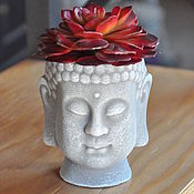 Moai with artificial succulent for home and garden