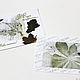 a set of author cards 'Ecology of the senses'. Cards. studiya. Online shopping on My Livemaster.  Фото №2