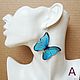 Earrings Transparent Blue Blue Butterfly Ice Snow Cold. Earrings. WonderLand. My Livemaster. Фото №4