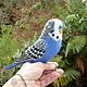 Parrot Carlos / wavy parrot / bird talker / budgerigar. Stuffed Toys. Woolen Zoo. My Livemaster. Фото №4