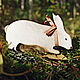 Зайчики  большие 1. Игрушки. Home_decor_Helga. Ярмарка Мастеров.  Фото №4