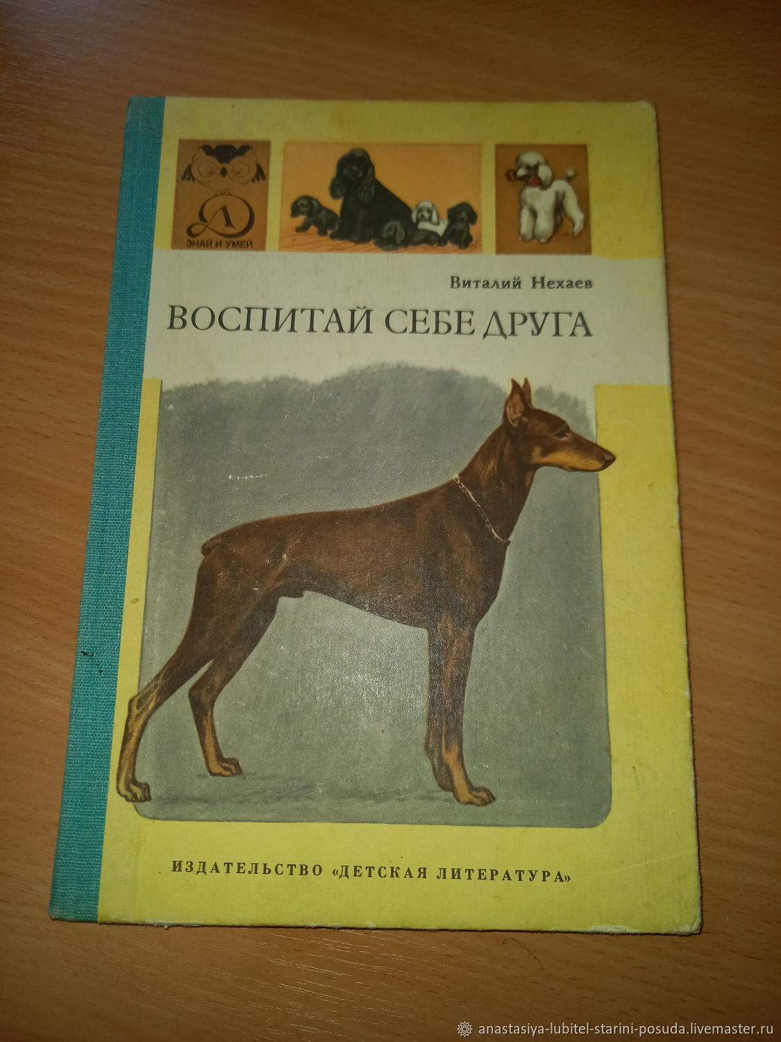 Нехаев песни. Нехаев воспитай себе друга. Воспитай себе друга книга.