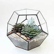 Цветы и флористика handmade. Livemaster - original item The Floriana. Florarium dodecahedron with succulents. Handmade.