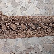Материалы для творчества handmade. Livemaster - original item A piece of exotic luxury snake skin. Handmade.