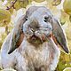 Картина маслом «Кролик в яблоках». Картины. Легкая кисть Наташи Головиной. Интернет-магазин Ярмарка Мастеров.  Фото №2