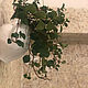 Flower pot 'Rome' wall mounted. Pots. Elena Zaychenko - Lenzay Ceramics. Online shopping on My Livemaster.  Фото №2