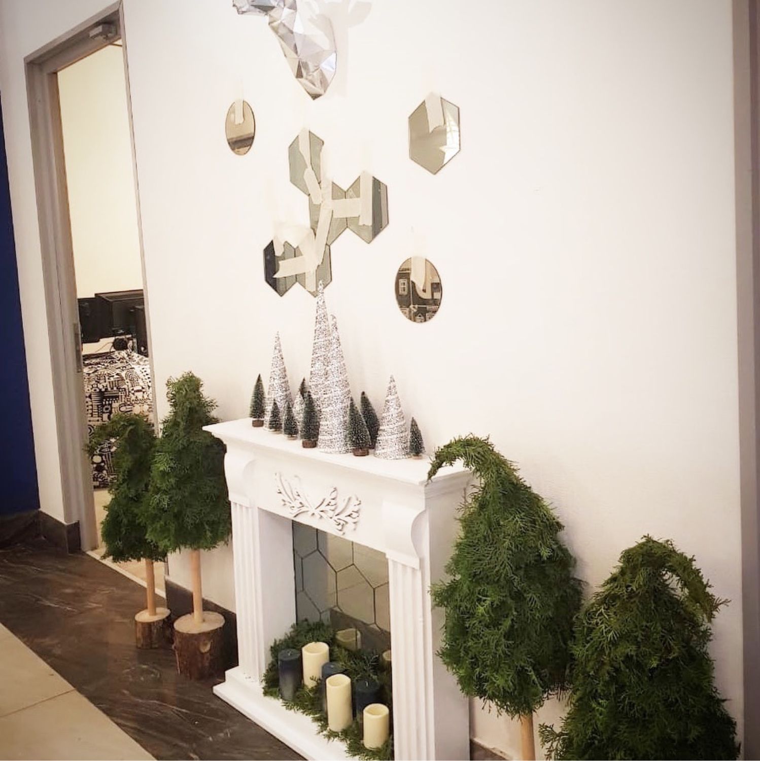 эко ели ростов. эко елки невинномысск. название для магазина елок.