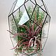 The Floriana. Geometric Floriana. Orchidarium. Vase for Floriana. Pots1. Glass Flowers. My Livemaster. Фото №5