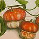Amazing pumpkin, oil, still life. Pictures. Faina-art. Online shopping on My Livemaster.  Фото №2