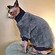 Clothing for cats 'Gray Fur Coat', Pet clothes, Biisk,  Фото №1