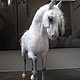 конь войлочный"Орловец". Войлочная игрушка. Анна Петинати. Ярмарка Мастеров.  Фото №6
