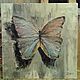 Paintings: 40 cm Oil on canvas Butterfly. Pictures. painting on canvas (tdiza). Online shopping on My Livemaster.  Фото №2