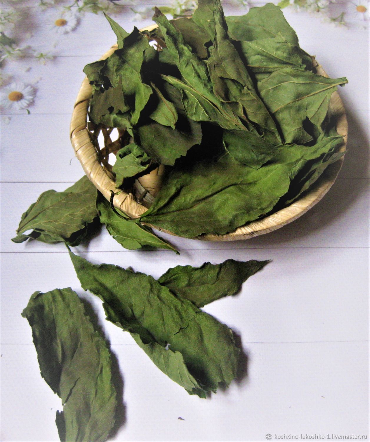 Топинамбур (лист/цвет) купить в интернет-магазине Ярмарка Мастеров по ...