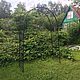 Заказать Арка широкая. Амарант. Ярмарка Мастеров. . Арки садовые Фото №3