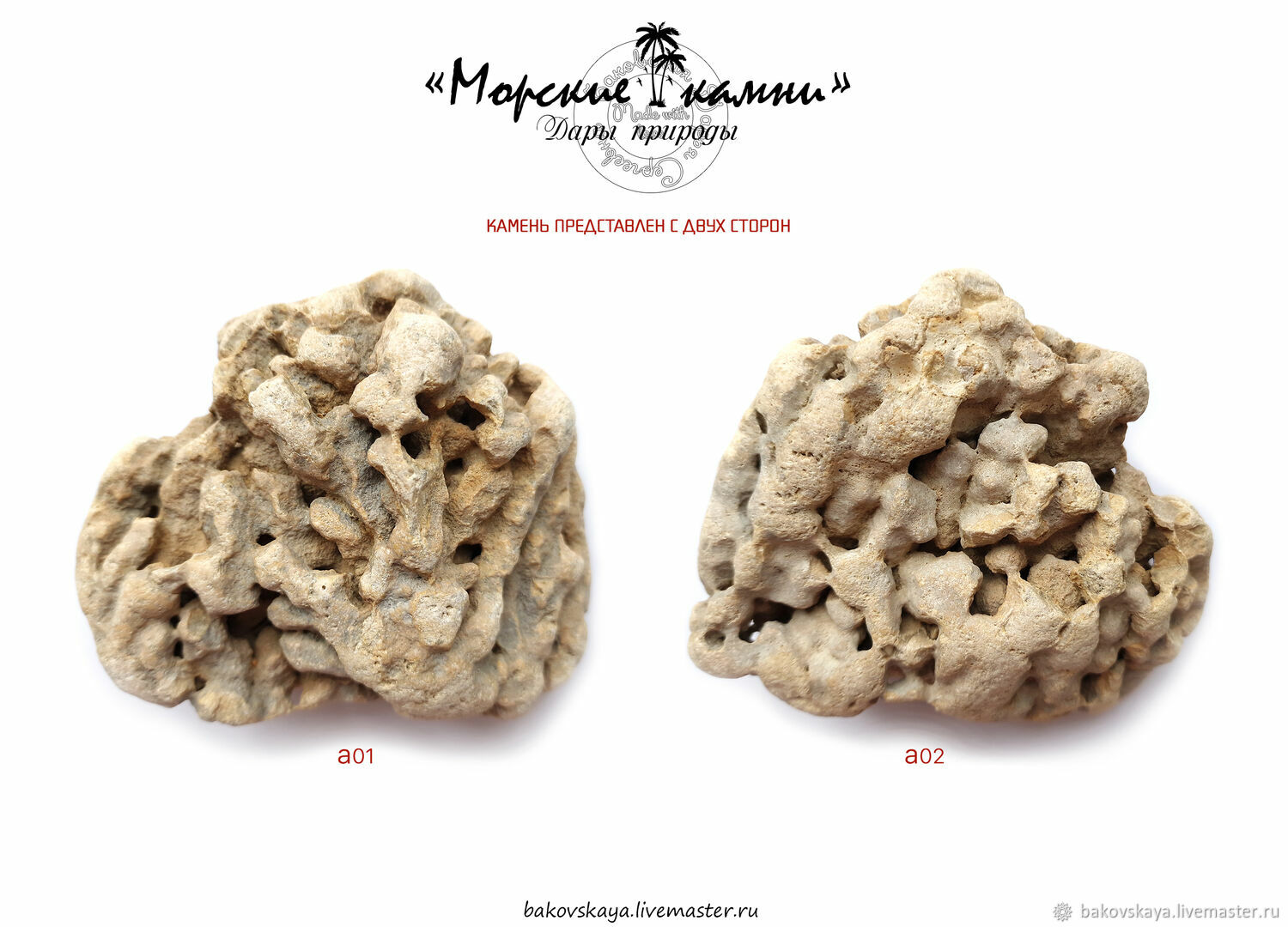 Коралловидные морские камни с дырочками. Пористый камень купить в ...