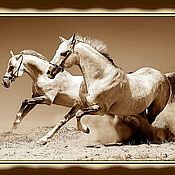 Картины и панно handmade. Livemaster - original item Placard picture gift number №19 Horses. Handmade.