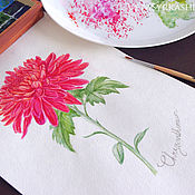 Картины и панно handmade. Livemaster - original item Chrysanthemum flower watercolor. Handmade.