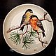 Painted porcelain. Plates on the wall bullfinches, hummingbirds, sparrows, goldfinches. Plates. ArtFlera (artflera). Online shopping on My Livemaster.  Фото №2