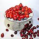 Шиповник плоды. Кулинарные сувениры. Ароматы природы (Ольга). Интернет-магазин Ярмарка Мастеров.  Фото №2