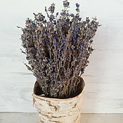 Цветы и флористика handmade. Livemaster - original item composition: Birch bark planters with lavender.. Handmade.