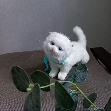 Куклы и игрушки ручной работы. Ярмарка Мастеров - ручная работа Игрушка котенок. Белый котик экзот Грейс.. Handmade.