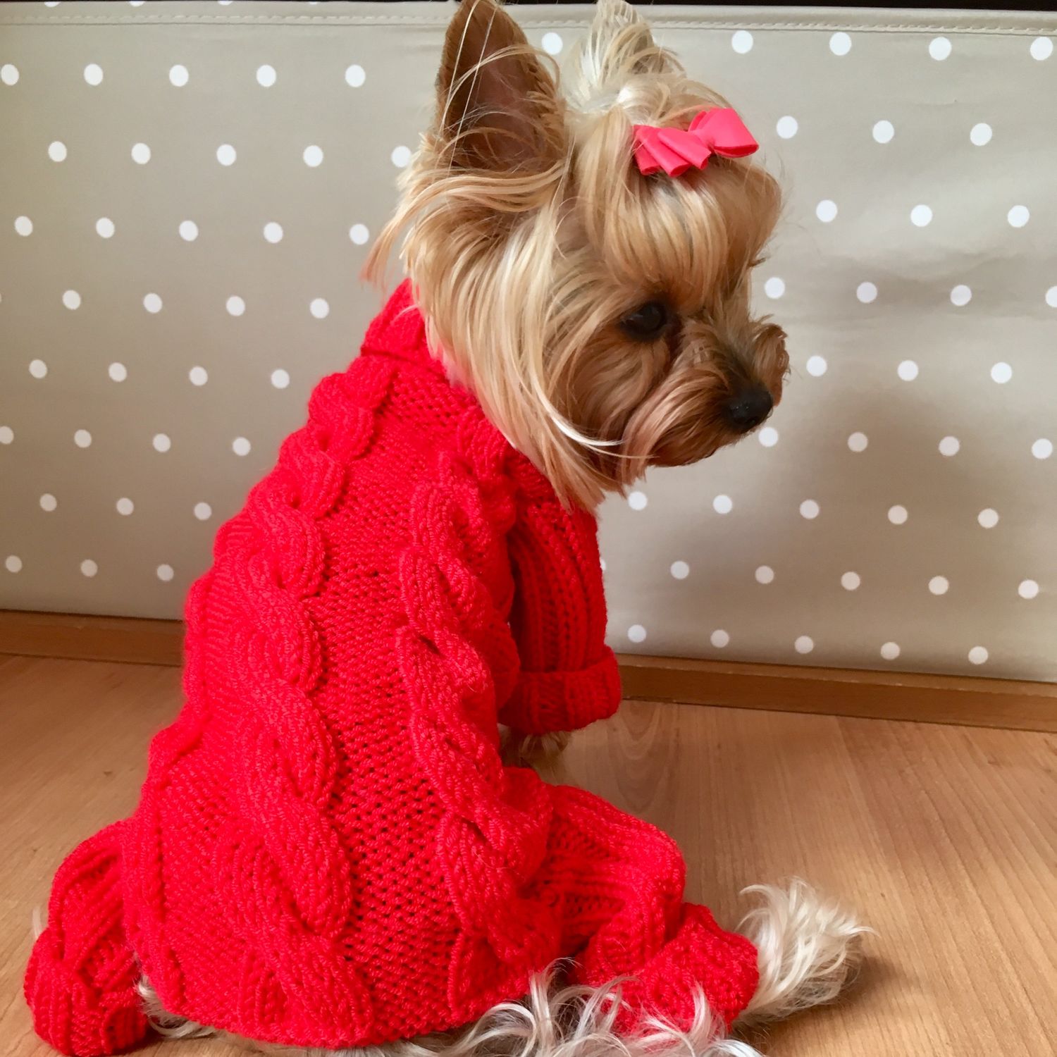 Кофты йорков. Вязаный свитер для собаки. Вязаная одежда для собачек. Вязаная одежда для маленьких собак. Вязаная одежда для той терьера.