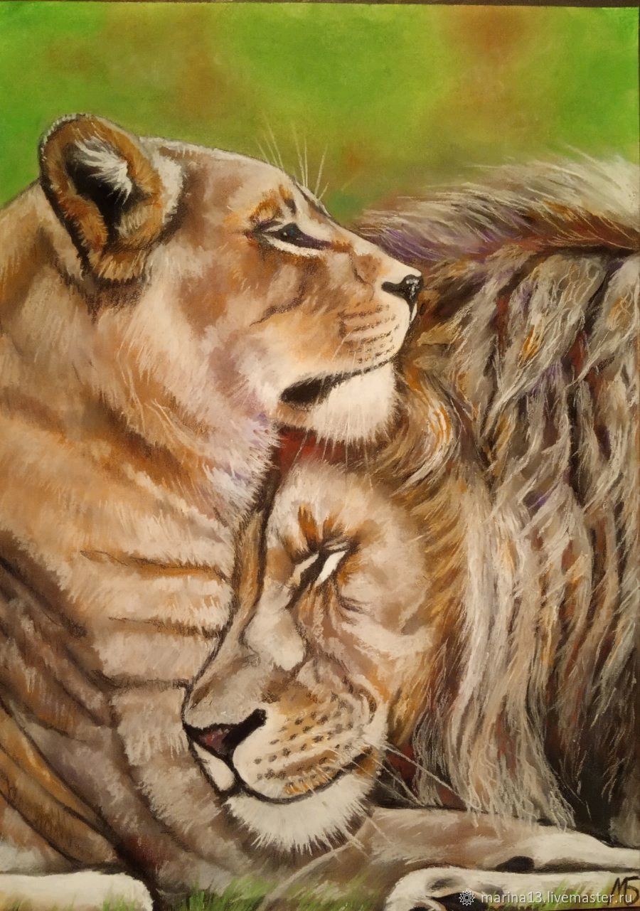 Лев и львица обои - 67 фото