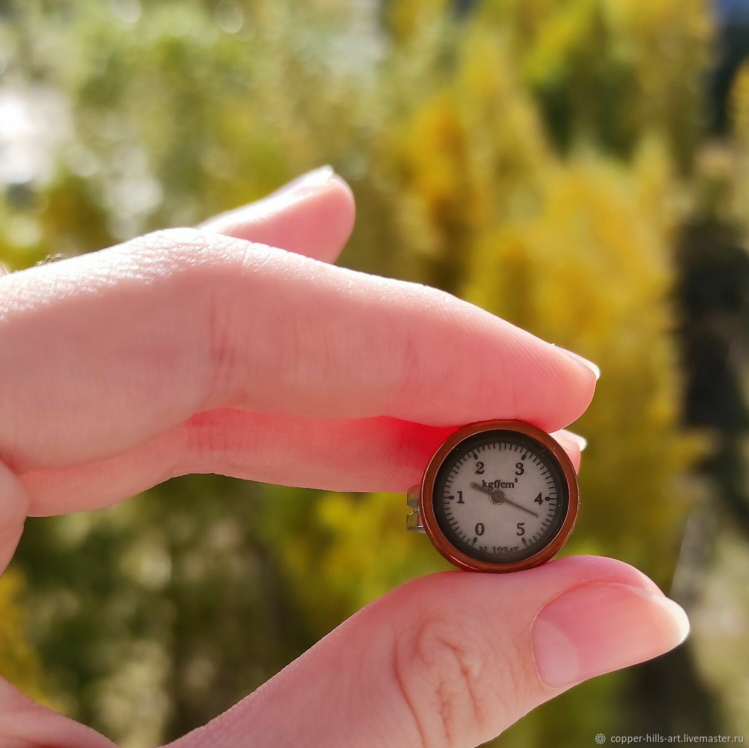 Перстень с муляжом прибора под заказ в интернет-магазине Ярмарка ...